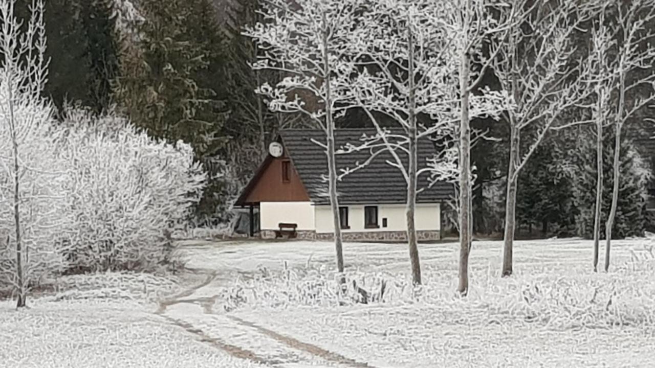 Villa Pocitniska Hisa Taler à Bohinj Extérieur photo